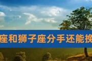 分手后的挽回计划——如何重新赢回狮子座的心（星座分析揭示真相，情感技巧助你重回爱河）