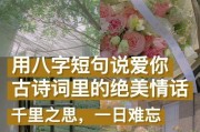 教你如何最浪漫地表白（让TA感受到你的真情实意）
