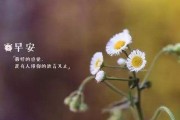 教你如何用恋爱技巧给他发早安短信（女生必备技能，让他每天想起你）