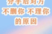 分手后是否需要拉黑前任？（探讨分手后保持联系的利弊与应对方法）