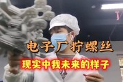 父母吵架，母亲离家出走，如何应对？（家庭矛盾处理，）