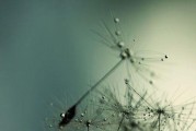 双子男分手后的暧昧陷阱（分手并不代表结束，谨防双子男的温柔陷阱）
