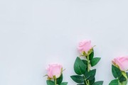 如何处理纠缠不清的感情？破解情感困境，拥抱幸福生活
