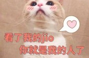15句让女友开心的情话（用这些话语营造浪漫的氛围）